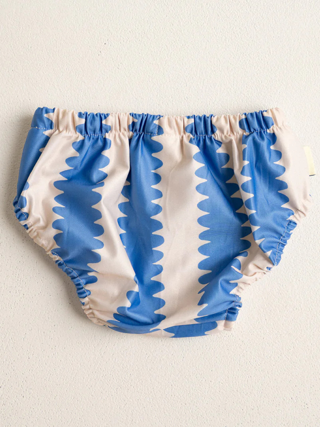 Blueberry | back view of the swim diaper
