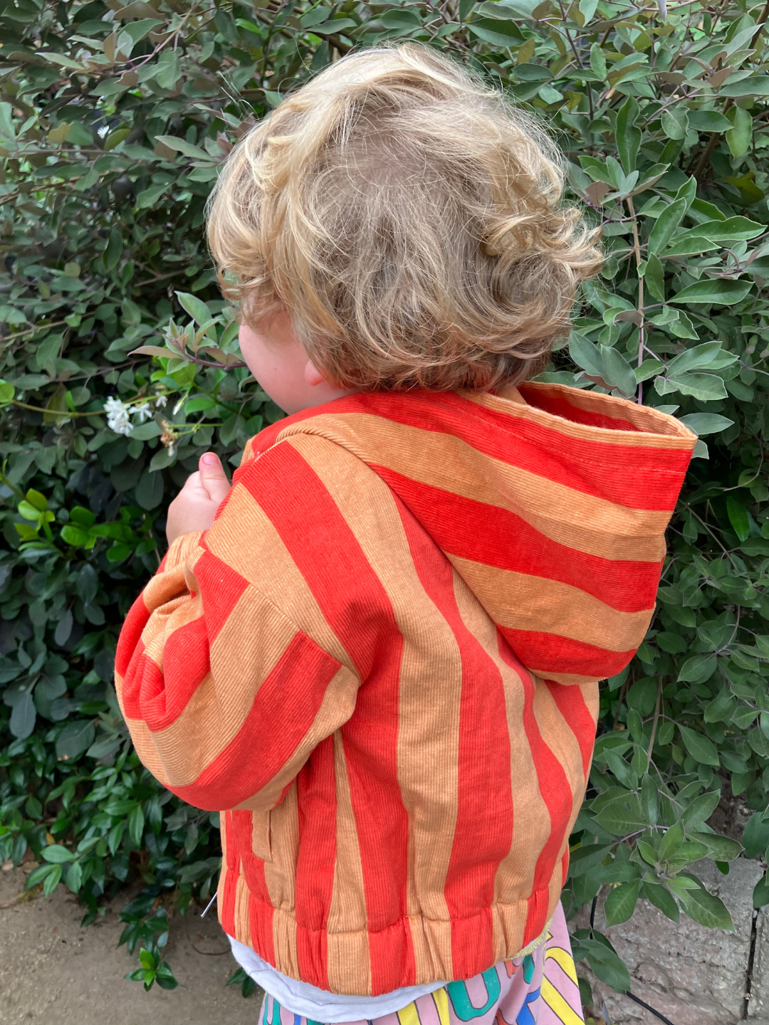 STOKER JACKET
