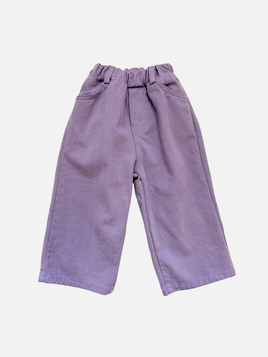 Image of A front view of kid's Grape Jeans with elastic waist