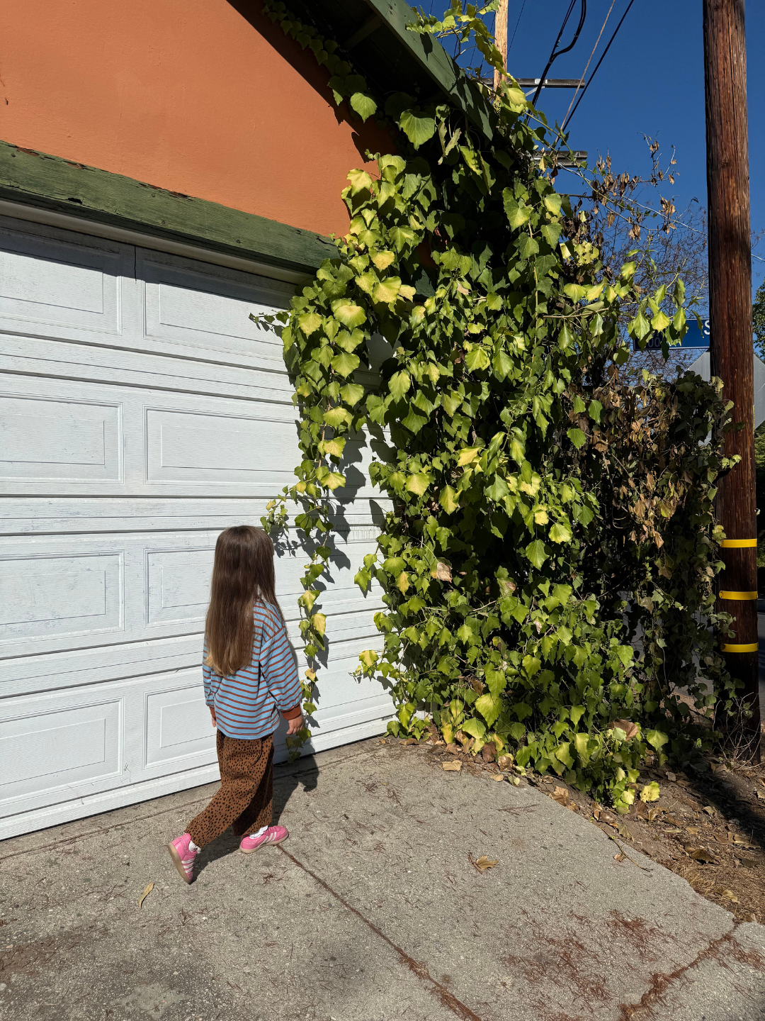 Brown | Child standing next to a white garage door with greenery