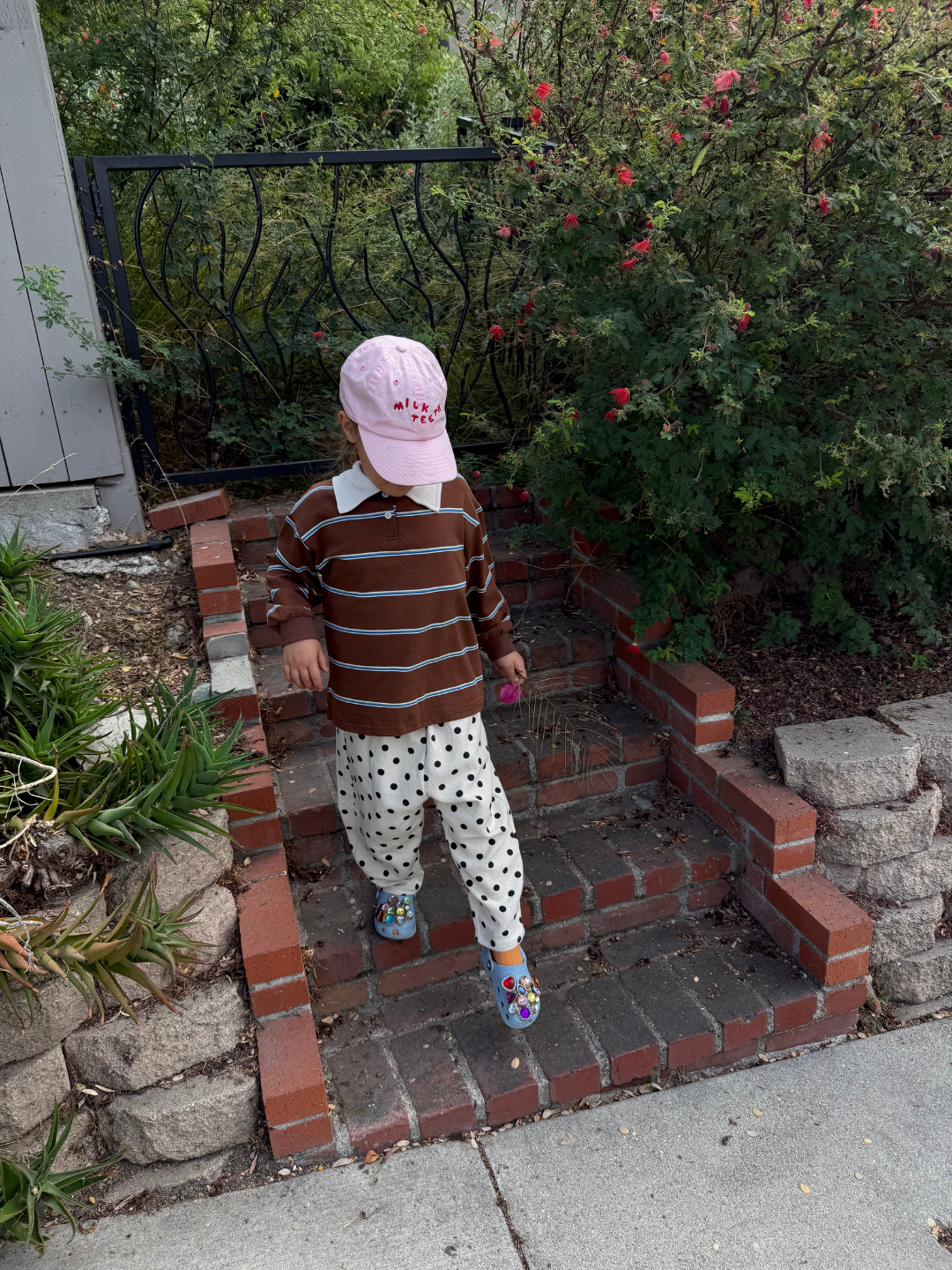 Child in striped shirt and polka dot pants standing on a set of brick steps with greenery in the background.