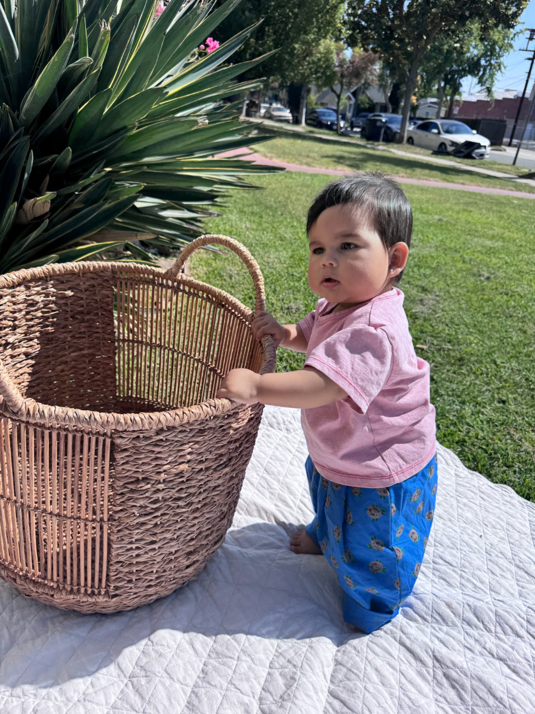A baby wears the Pascal pink tee with blue floral pants, standing on a white blanket on green grass, holding a large basket.