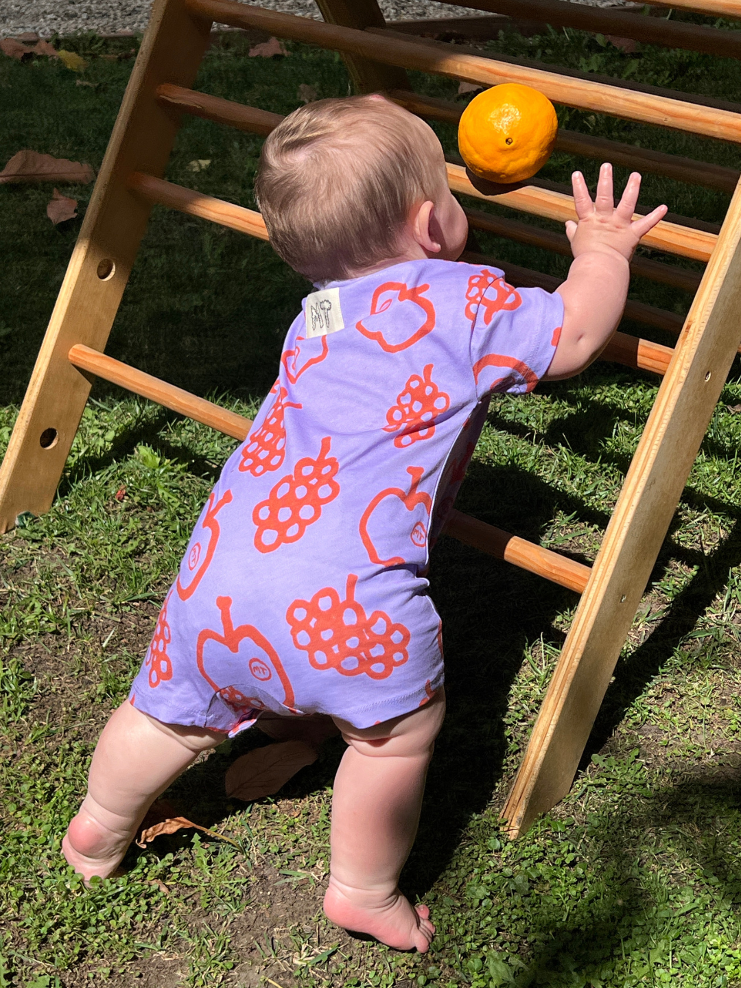 Baby standing on grass, wearing a purple romper with an orange apples and grapes pattern, leaning on a wooden toddler play structure, reaching for an orange.