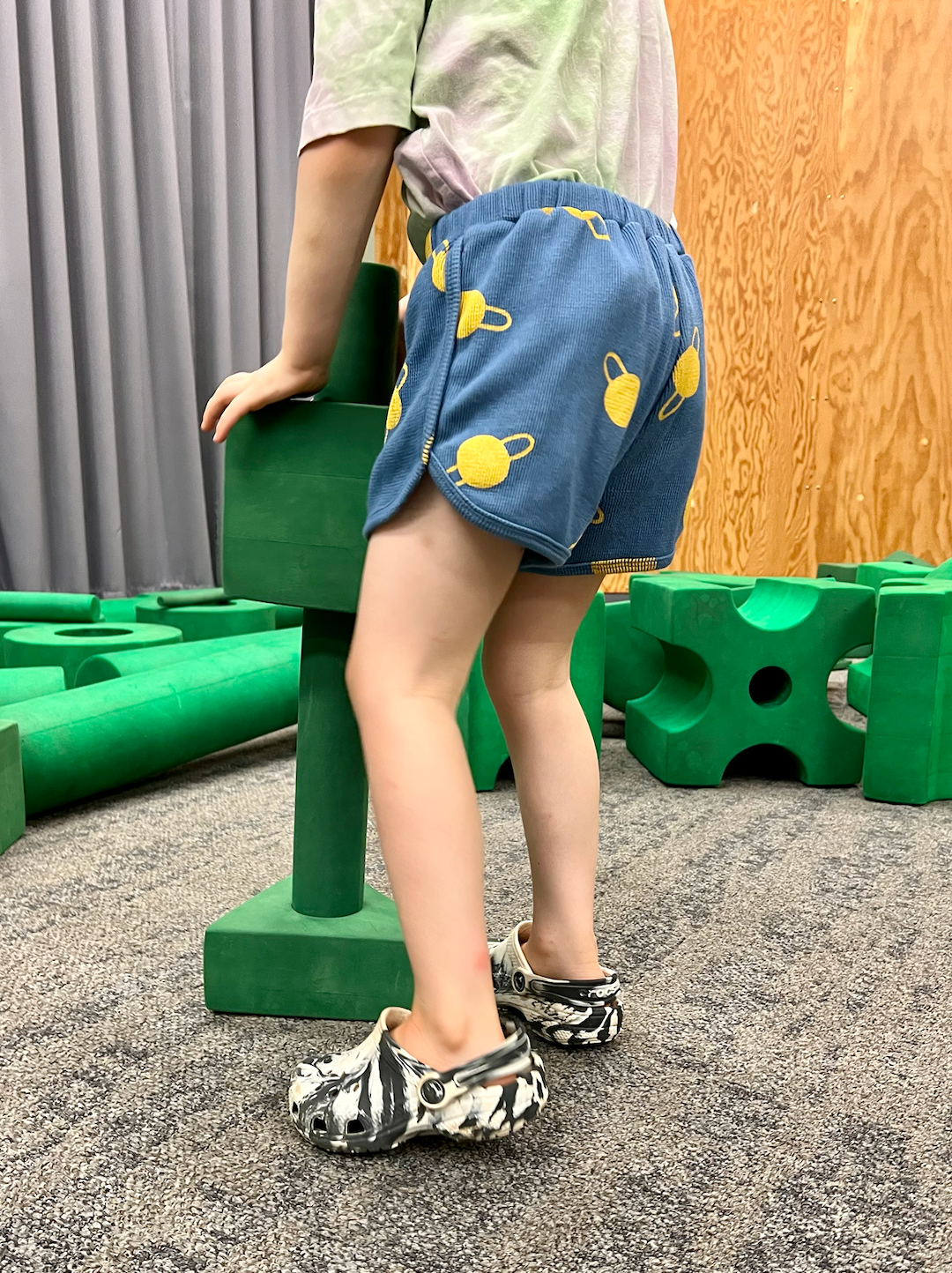 SPACE CAMP SHORTS