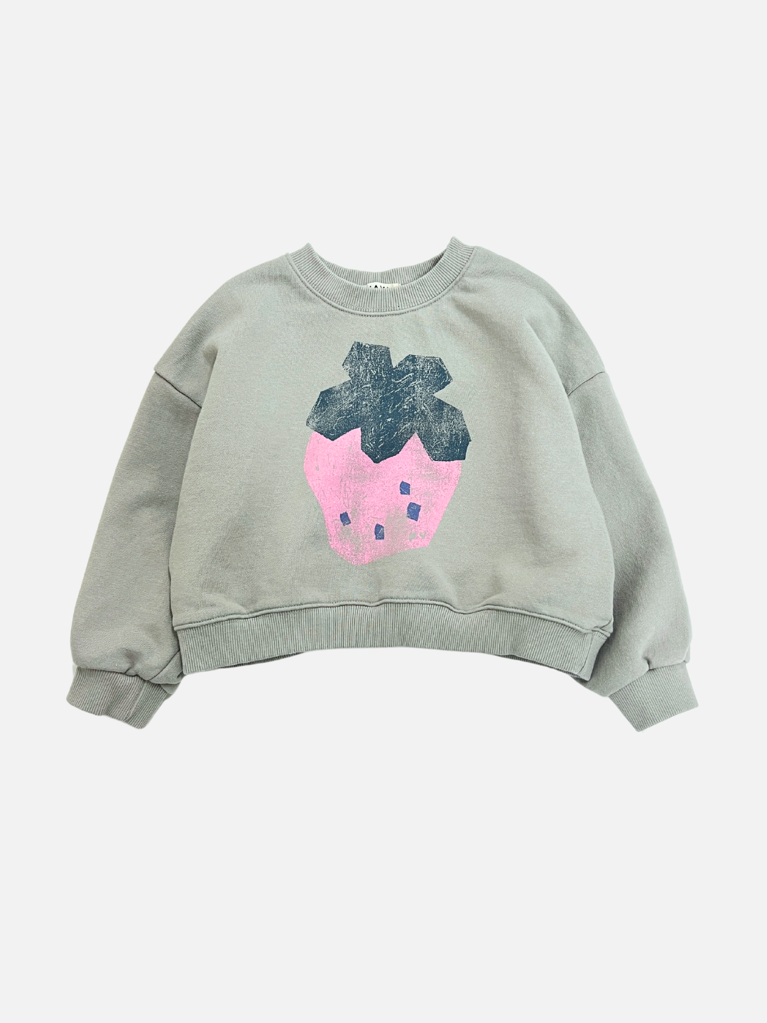 STRAWBERRY CROPPED SWEATSHIRT features a large pink and dark blue abstract strawberry design on a gray fabric, showcased on a white background.