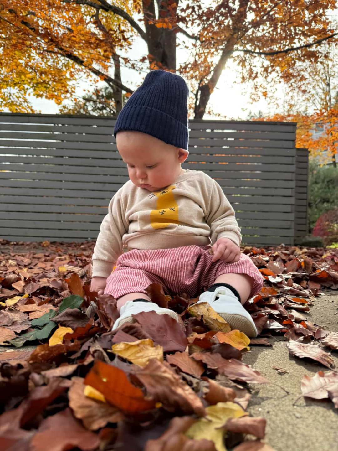 Red | Baby sitting in a pile of autumn leaves wearing a blue knit hat and pink pants.