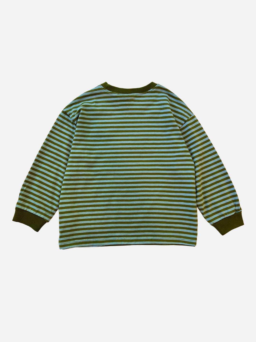 Comma Striped Longsleeve in Sky/Olive back view