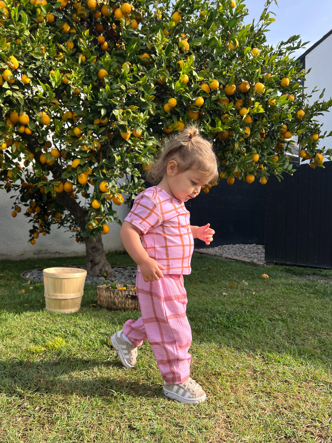 A child wearing a PAINTBRUSH CHECK LAP-SHOULDER TEE strolls on grass by an orange tree laden with ripe fruit, crafting a vibrant scene. Nearby, a basket and potted plant add charm, ideal for showcasing carefree childhood moments.