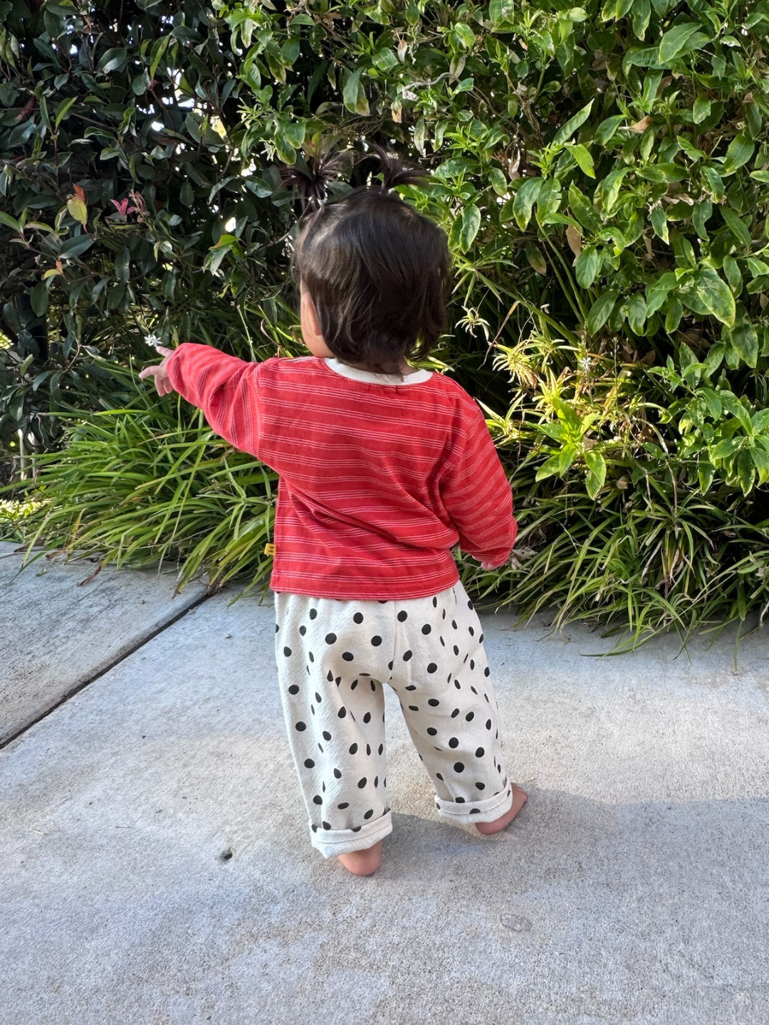 Child in a red shirt and polka dot pants standing on a sidewalk with greenery in the background