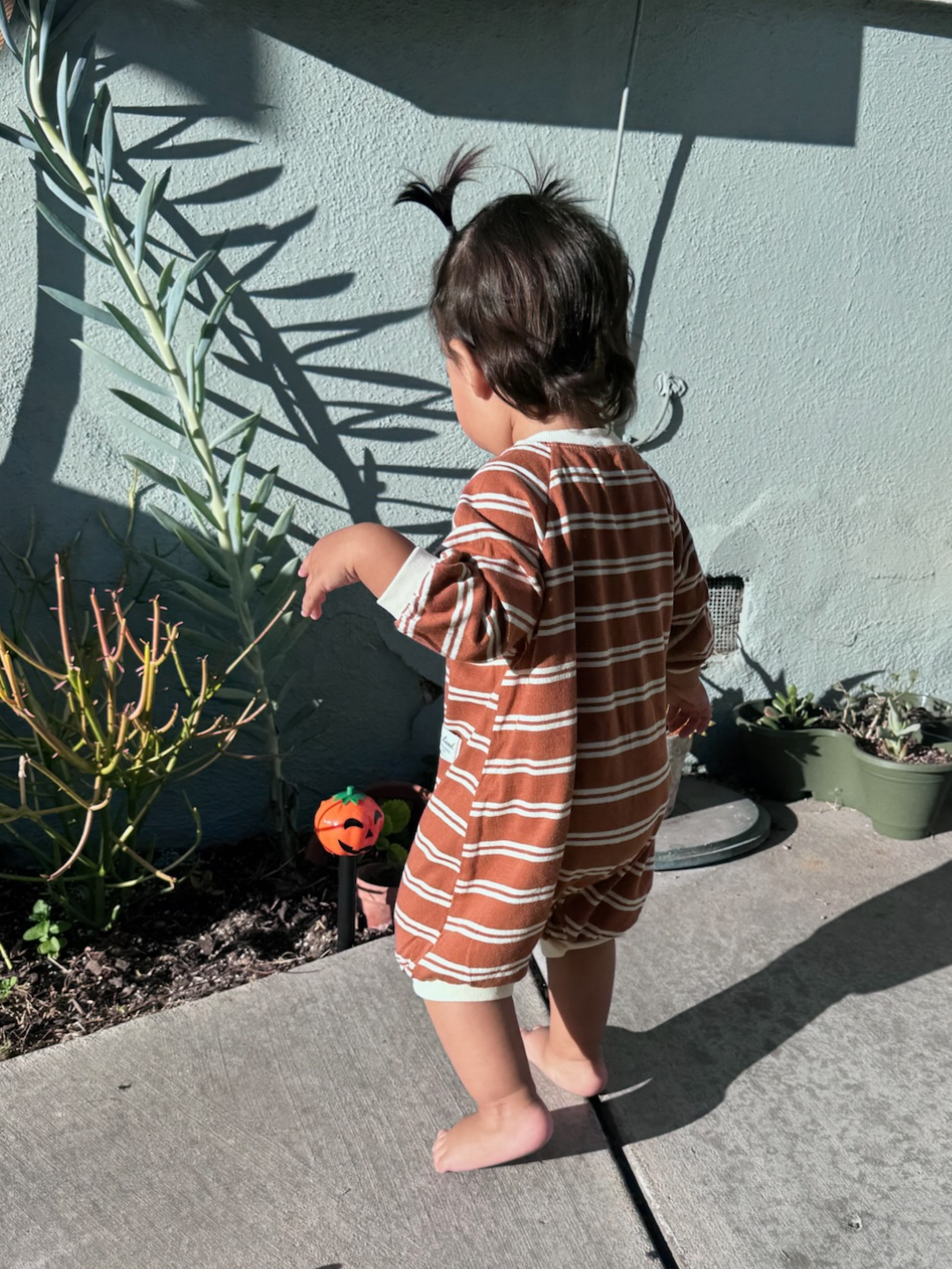 Child in a striped outfit standing on a sidewalk with plants and a wall in the background