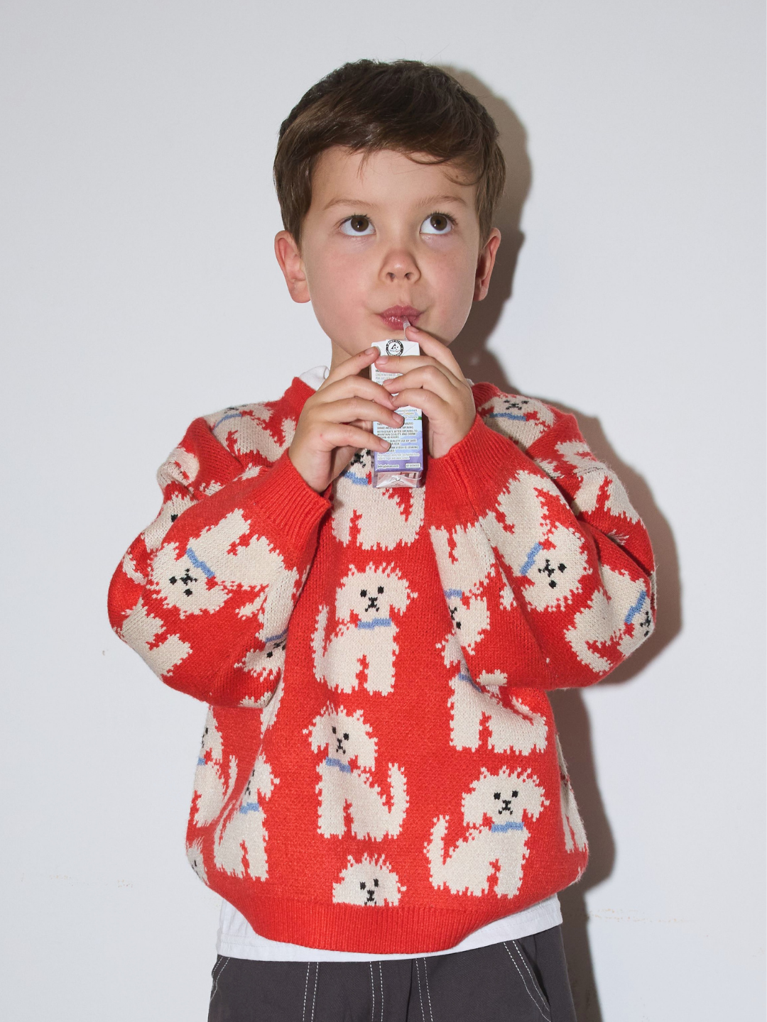 A young boy wearing an orange knit sweater with a white dog pattern, holding a small carton to his mouth against a plain light gray background.