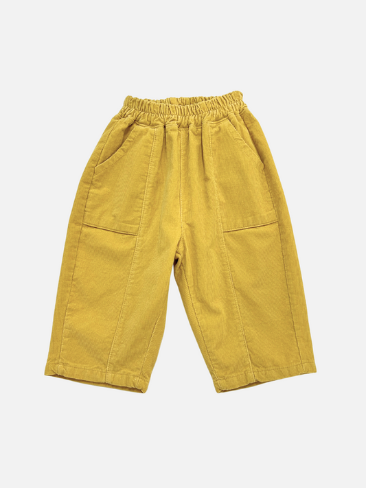 Image of CORDUROY PANEL PANT in Honey