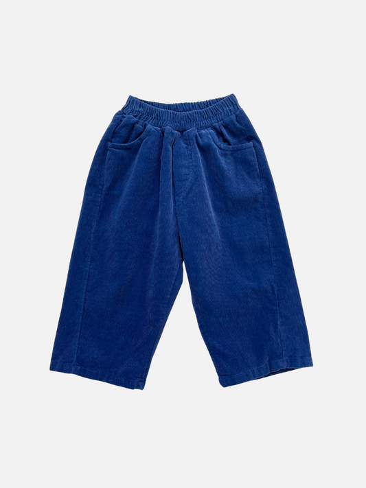 Image of SIMPLE CORDUROY PANTS in Royal Blue
