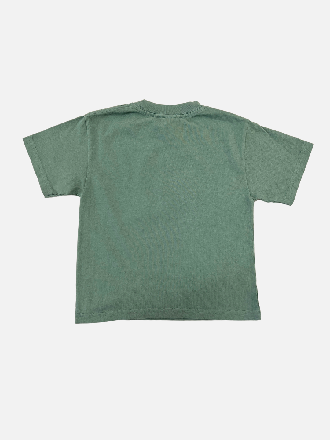 Green | Back view of a kids faded green t-shirt with short sleeves.