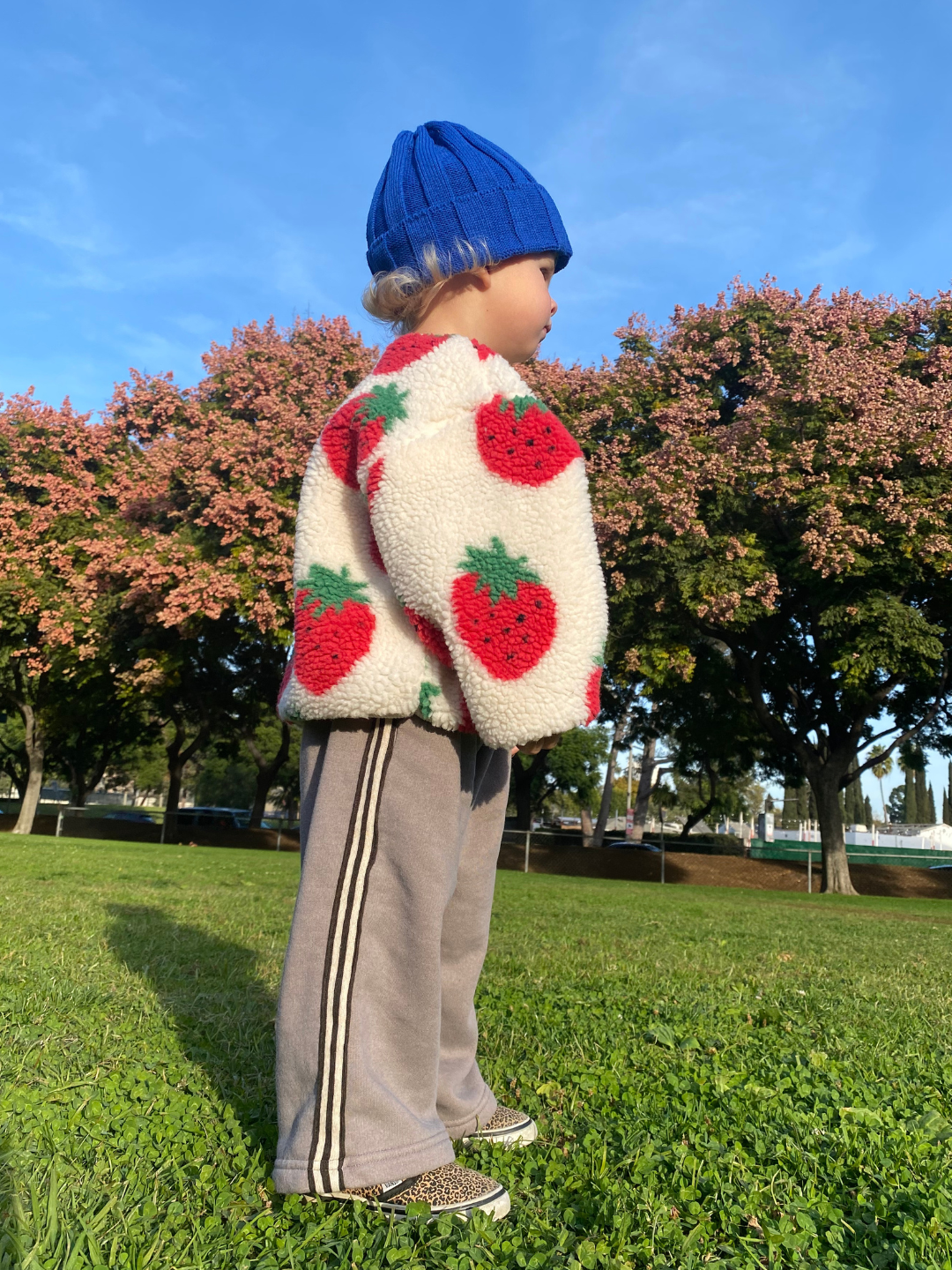 Blue | A child wearing the rib knit beanie in blue, with a white fleece patterned with strawberries, grey pants, and standing on grass with blue sky.