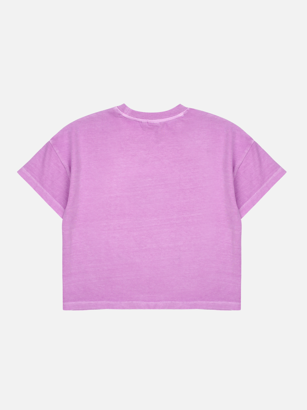 Purple | Back of T-shirt with no design and a light purple background.