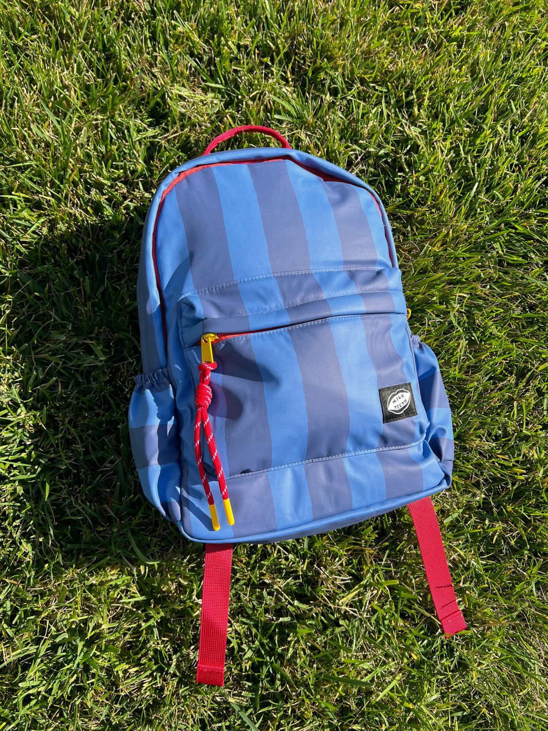Blue Stripe | A blue striped backpack with red straps and zipper pulls, placed on a green grass lawn.