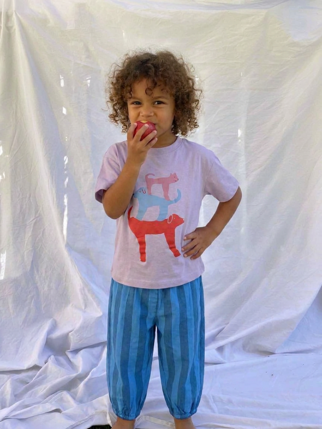 A toddler boy wearing the striped organic cotton pants in blue stripes, with a purple t-shirt with an animals motif, standing on a light grey sheet backdrop, eating a red apple.