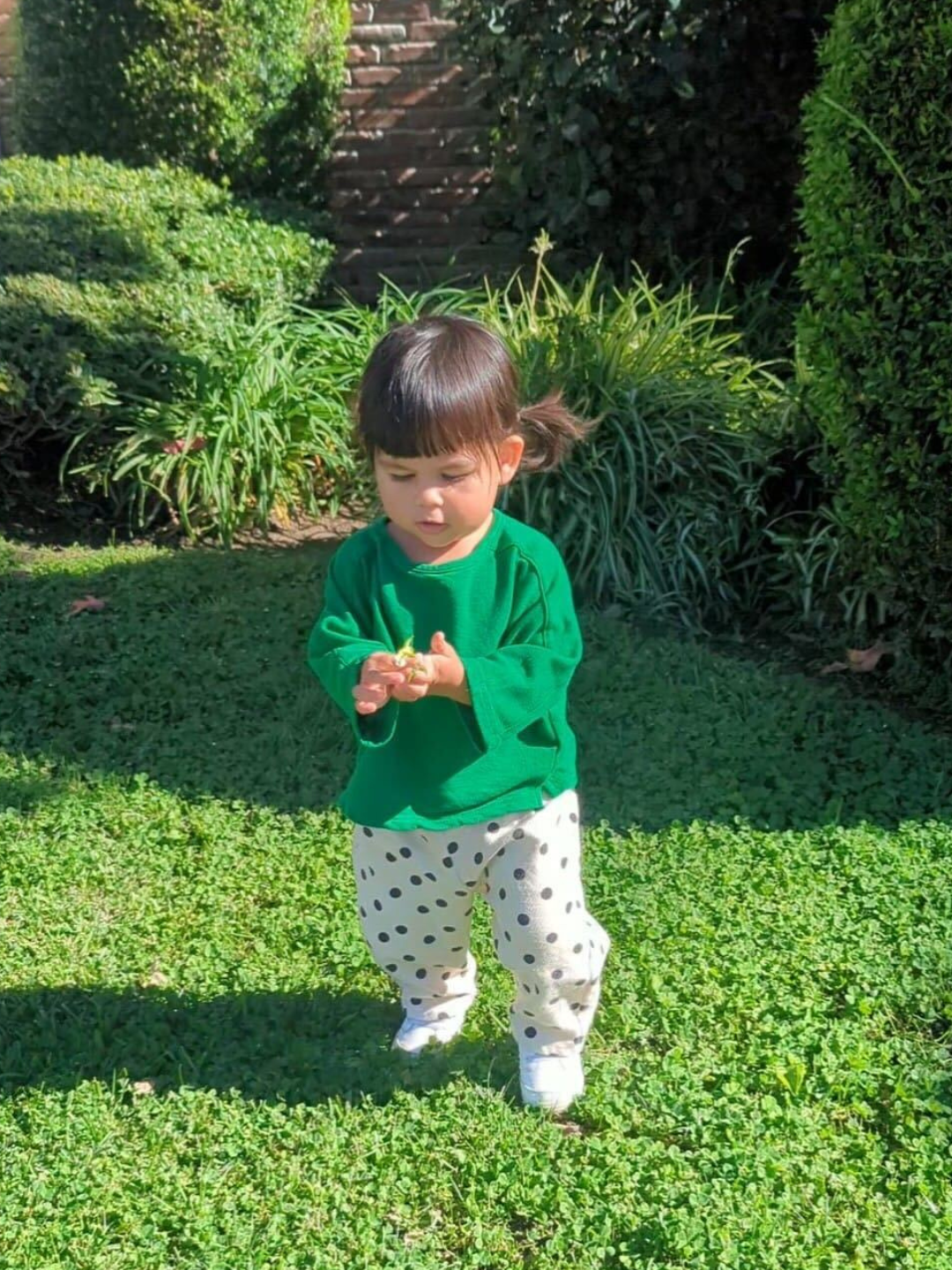 Child in a green shirt and polka dot pants standing on grass with plants in the background