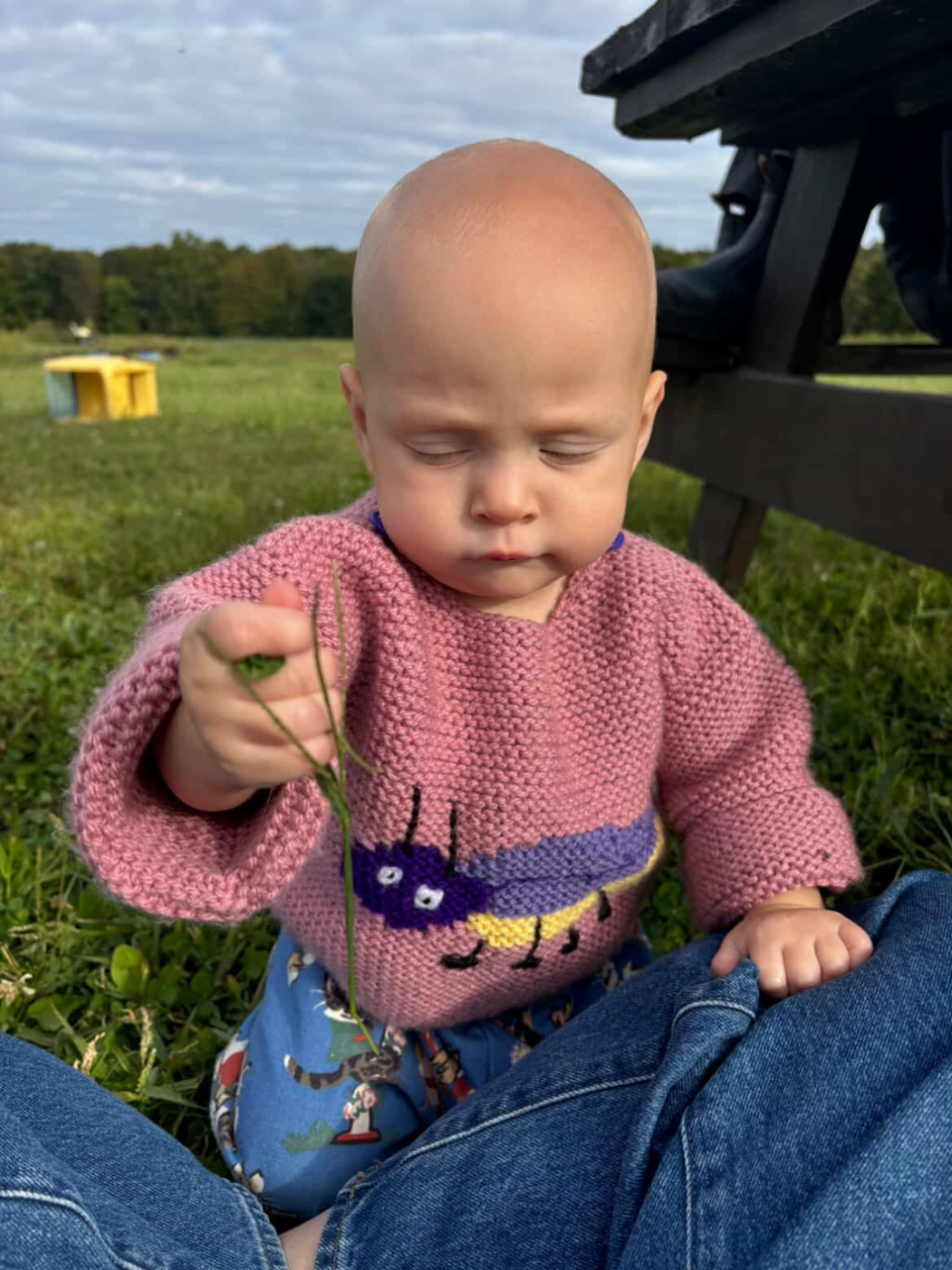 A baby wearing a knitted sweater in pink featuring a purple bug motif, standing in a green field, leaning on a parents lap.
