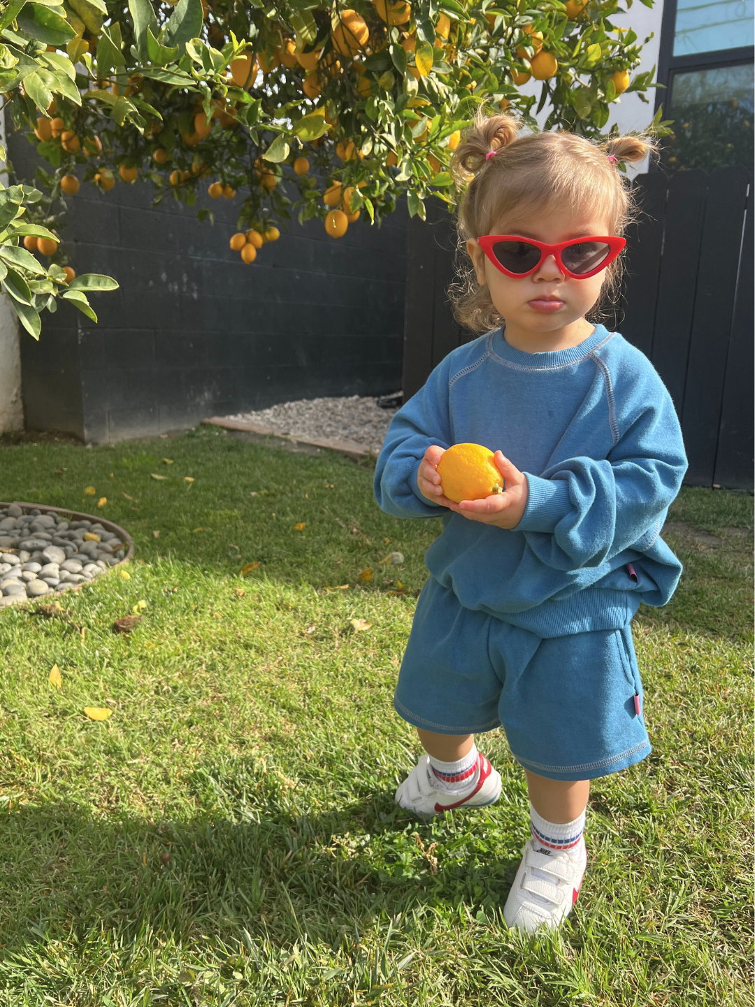 Blue | A child stands on grass in a retro blue VARSITY SWEATSHIRT and red sunglasses, holding an orange against a lush orange tree backdrop, embodying Cantucci Studios' playful designs.