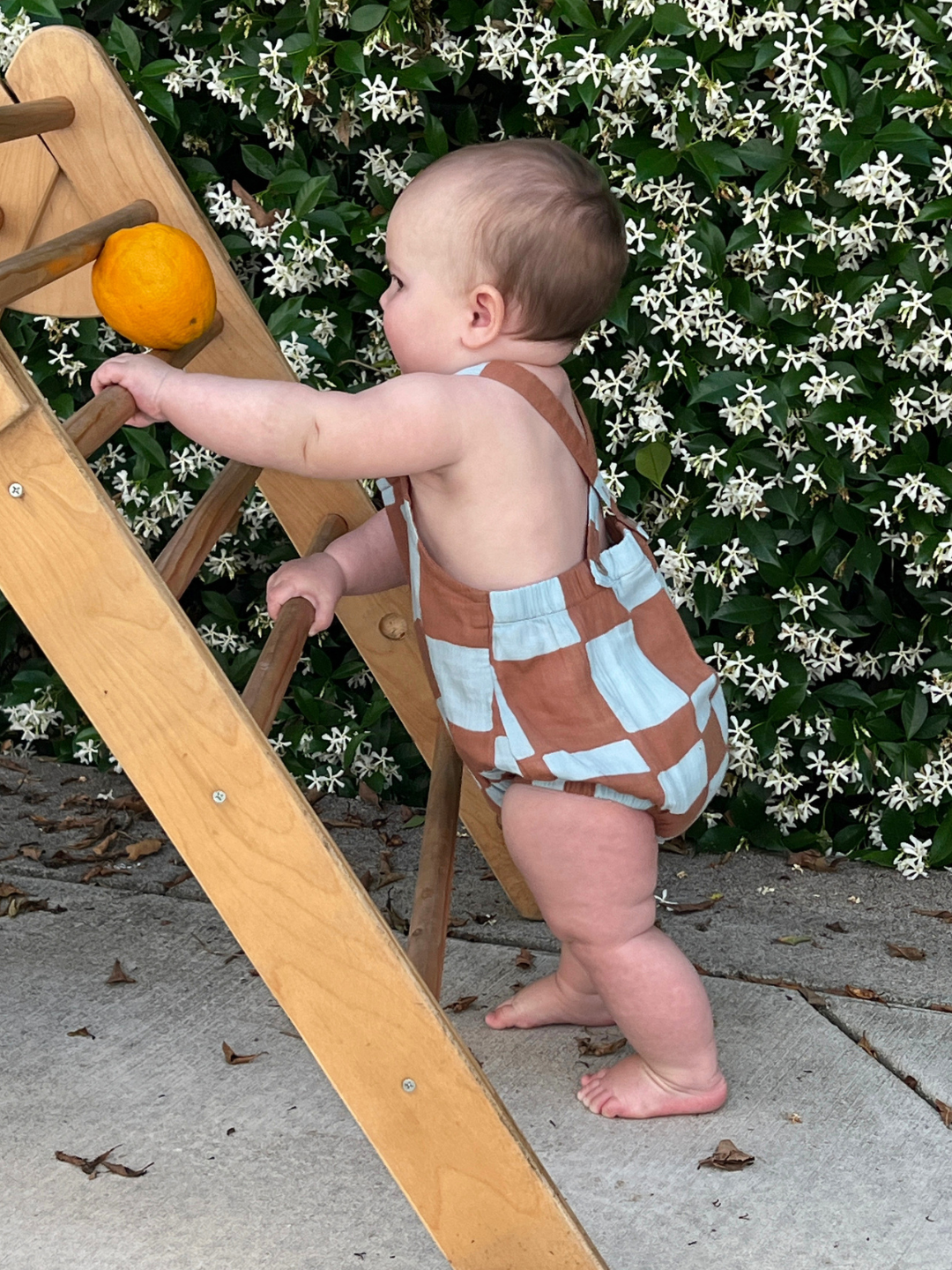 Baby in a blue and brown checkered romper standing next to a wooden climbing toy with flowers in the background