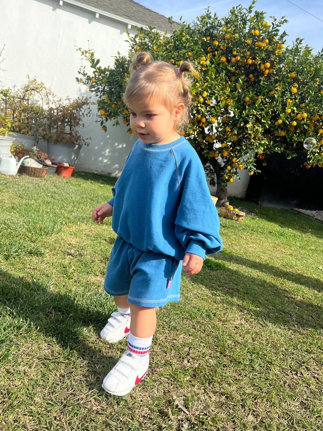 A young child in a blue VARSITY SWEAT SHORTS from a Korean kids brand strolls on the grass in a garden with citrus trees and pots around.