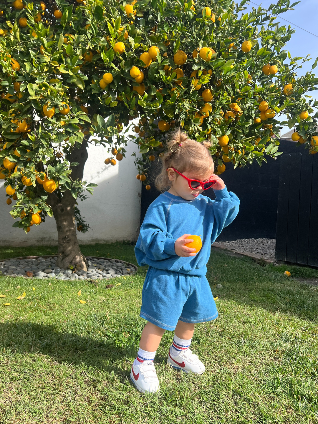 Blue | A toddler in a blue outfit and red sunglasses stands in front of an orange tree holding a fruit, on a sunny day, wearing VARSITY SWEAT SHORTS.