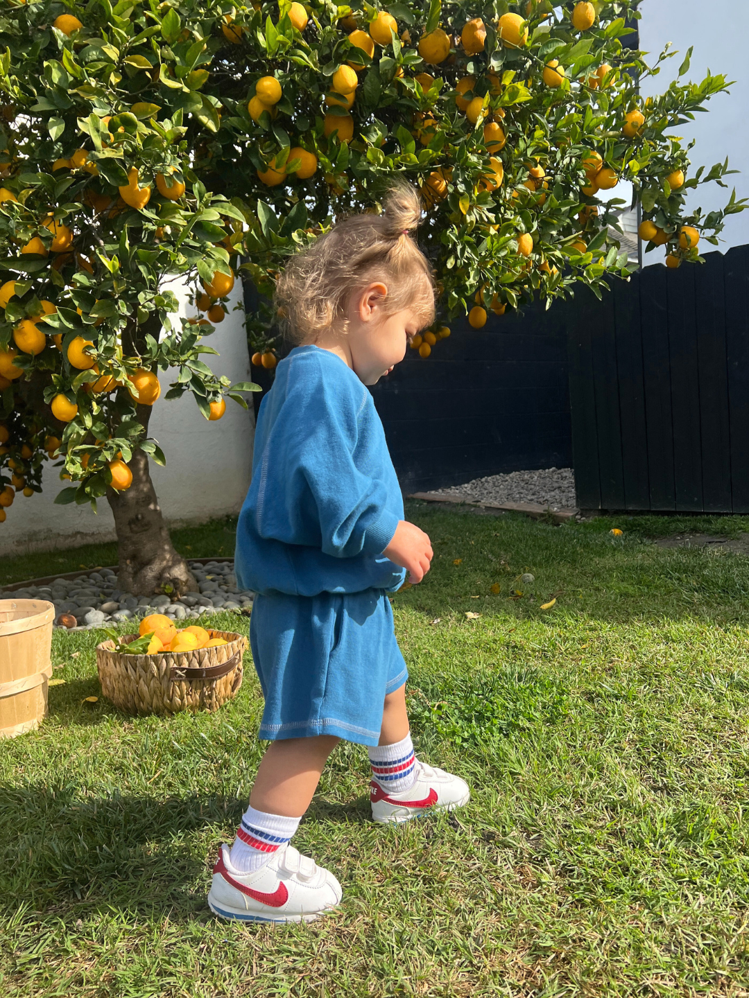 Blue | A child in a vintage-inspired blue outfit, featuring VARSITY SWEAT SHORTS from a renowned Korean kids brand, walks on grass near a lemon tree with a basket of lemons nearby.