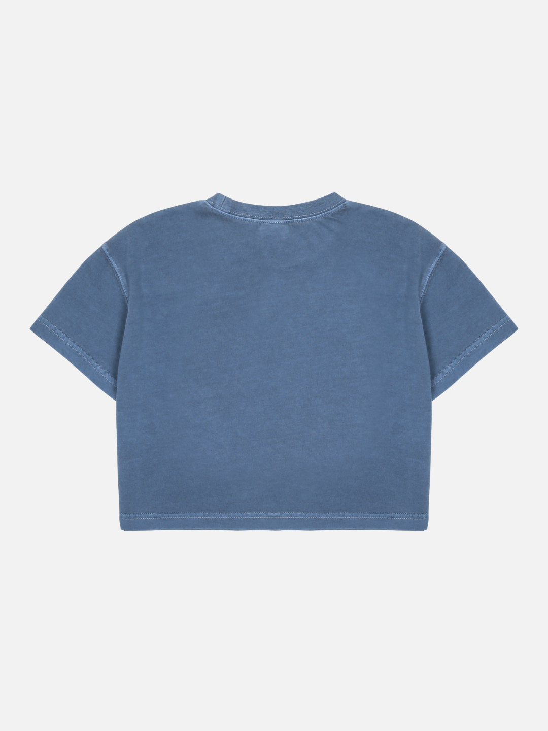 The APPLE PIGMENT CROPPED T-SHIRT features a round neck and short sleeves in blue, shown from the back on a plain white background.