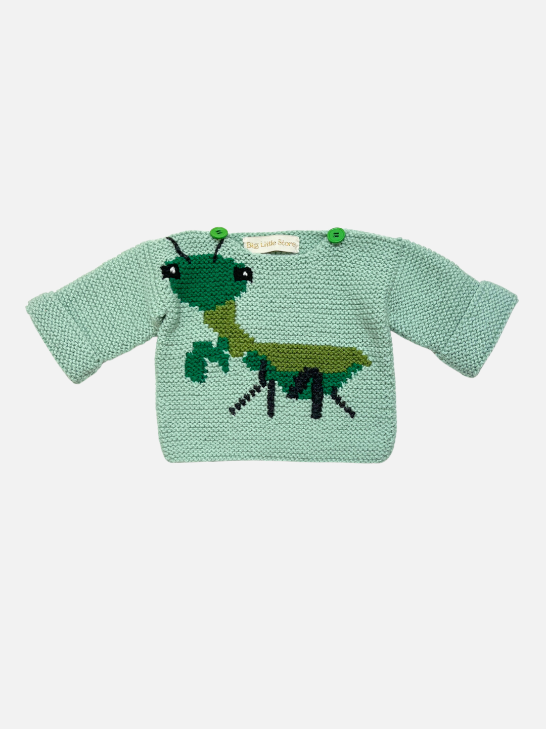 Knitted baby sweater in mint green featuring a green praying mantis bug, laid on a white background.