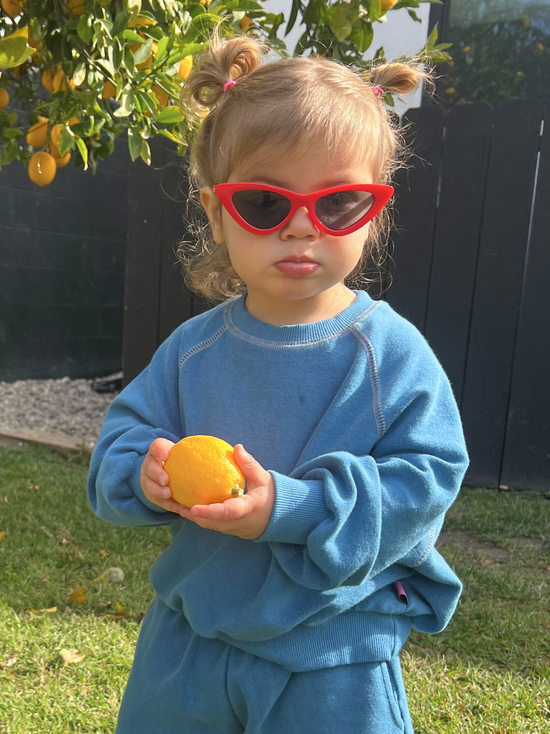 Red | Child wearing red cats eye sunglasses holding a lemon in front of a fruit tree, and a blue outfit.